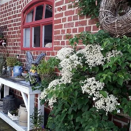 ベッド・アンド・ブレックファスト B7 Selfkant